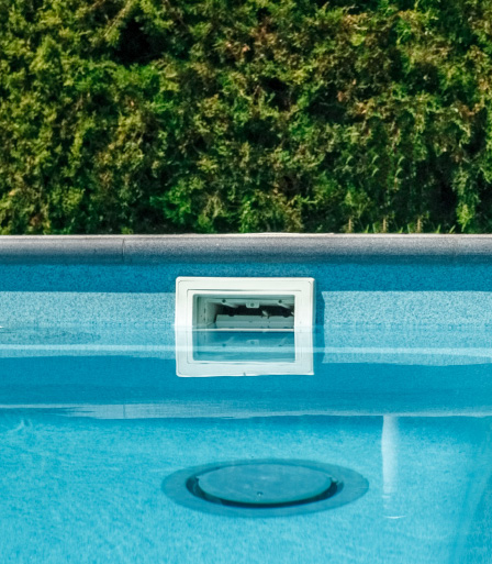 do pets affect your pool filter? What to watch for