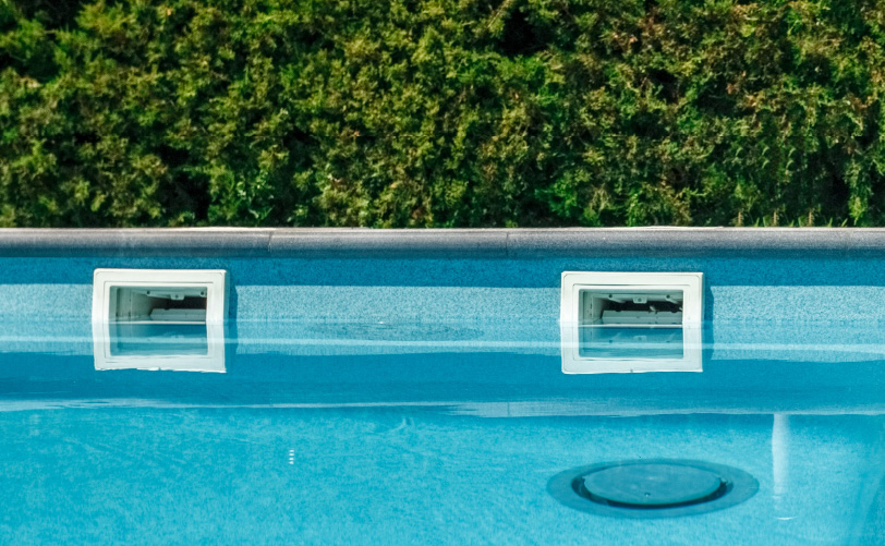 do pets affect your pool filter? What to watch for