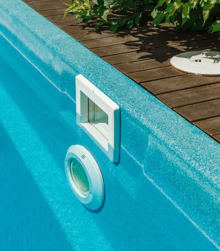 do pets affect your pool filter? What to watch for Blog Image 2