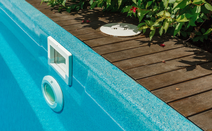 do pets affect your pool filter? What to watch for Blog Image 2