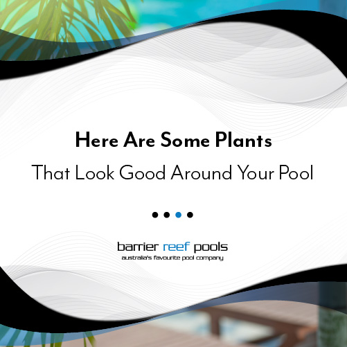 here-are-some-plants-that-look-good-around-your-pool-featuredimage