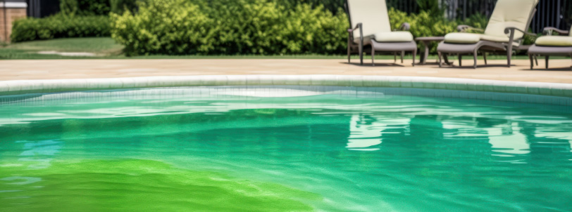 how-to-keep-your-pool-algae-free-blogimage1