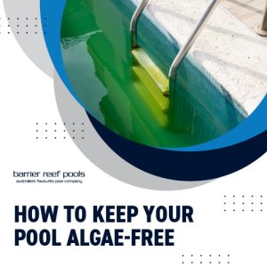 how-to-keep-your-pool-algae-free-featuredimage