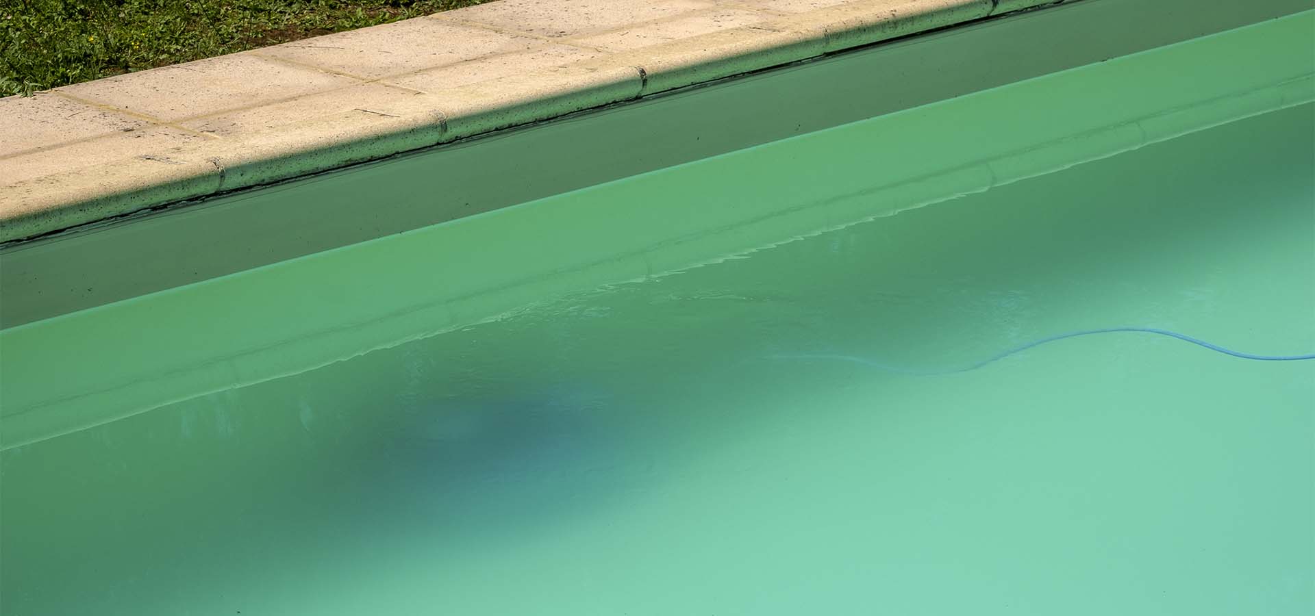 pool-algae