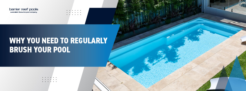 why-you-need-to-regularly-brush-your-pool-banner